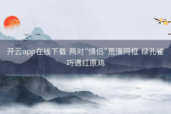 开云app在线下载 两对“情侣”荒漠同框 绿孔雀巧遇红原鸡